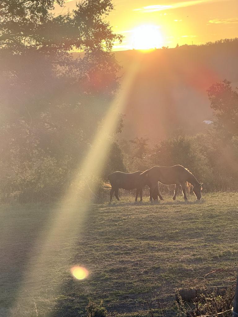 La nature